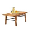 Caroline 24 in. Brown Rectangle Wood Coffee Table by HomeRoots