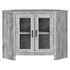 Jasmine 42 in. Grey TV Stand Fits TV's up to 60 in. with Cabinets by HomeRoots