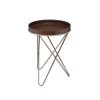 Amelia 18 in. Walnut and Champagne Wood End Side Table by HomeRoots