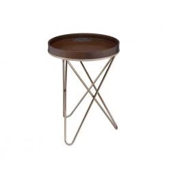 Amelia 18 in. Walnut and Champagne Wood End Side Table by HomeRoots