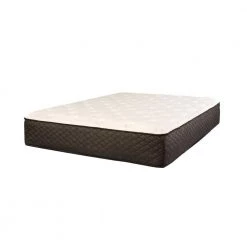 Amelia 11 in. Firm Gel Memory Foam Twin XL Mattress by HomeRoots